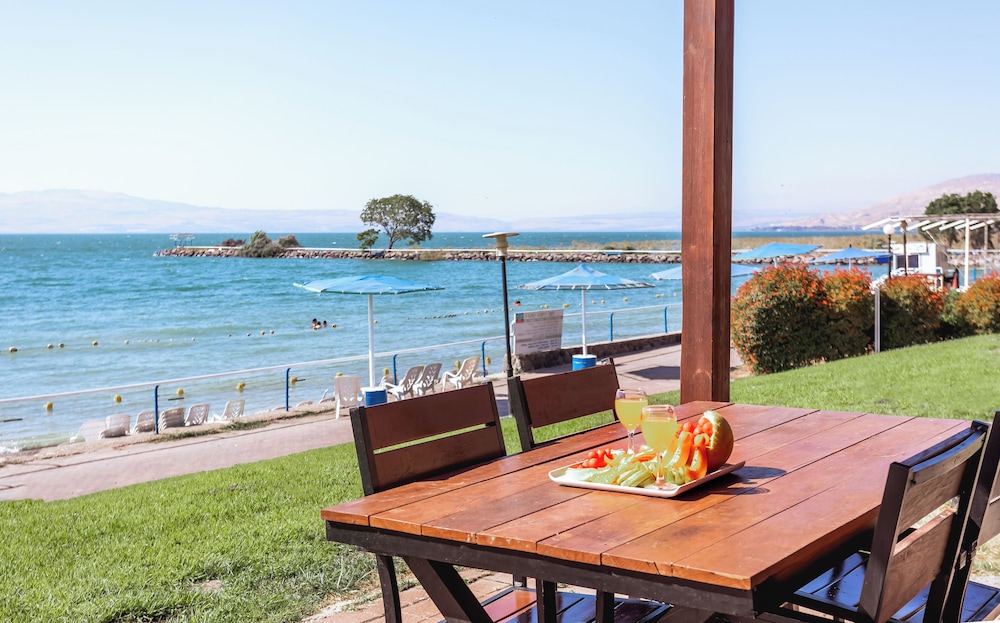 daria authentic israel experience