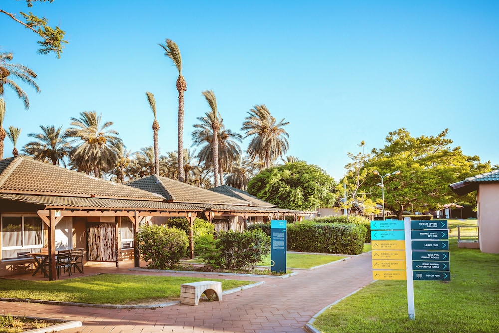 daria authentic israel experience