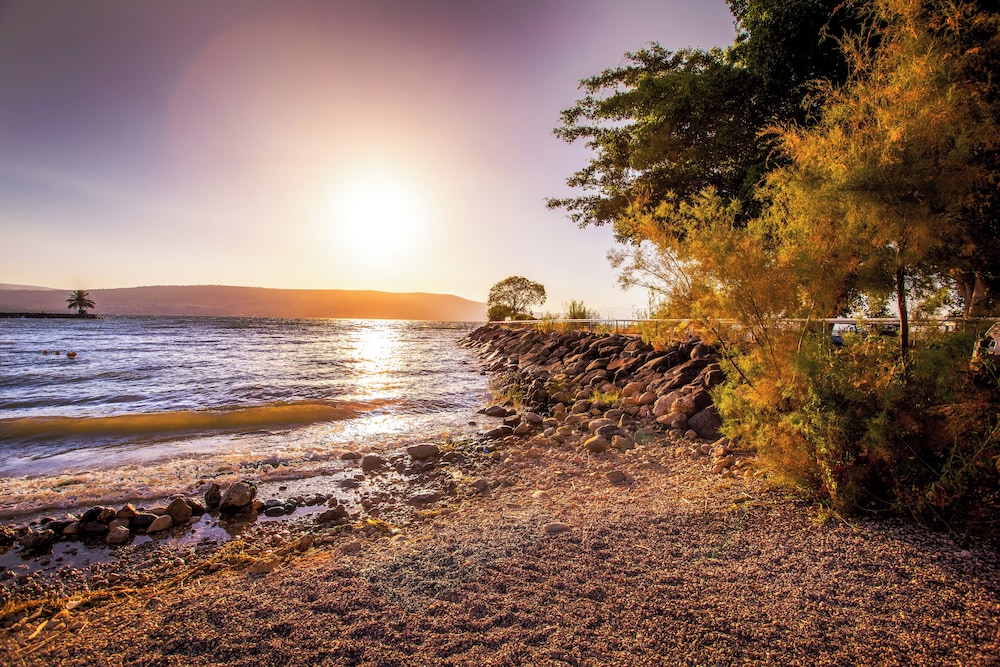 daria authentic israel experience