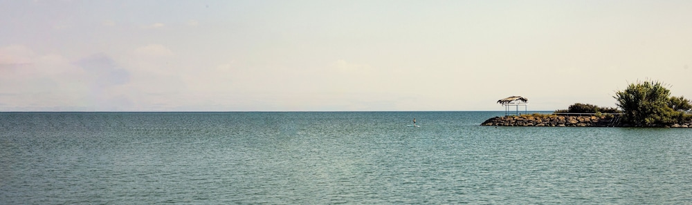 daria authentic israel experience