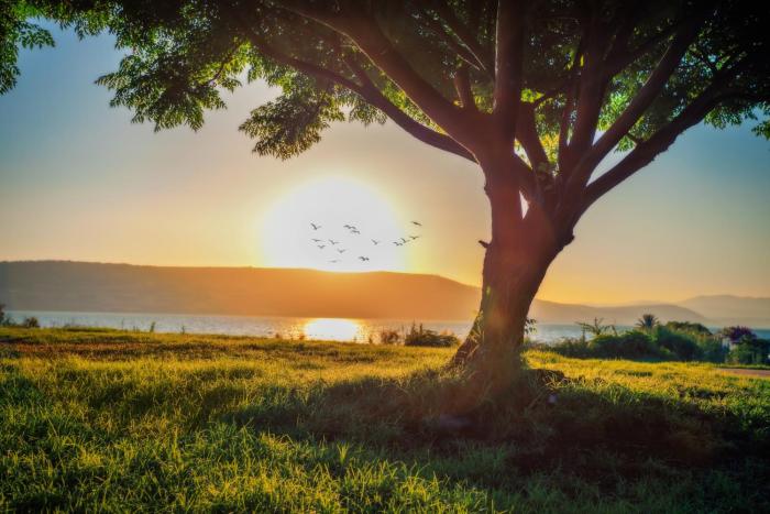 daria authentic israel experience