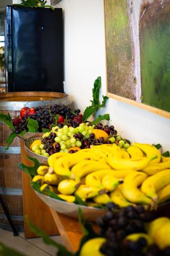 daria authentic israel experience