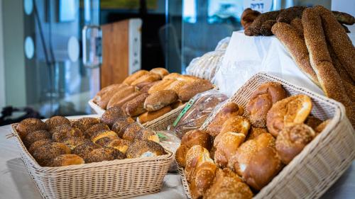 daria authentic israel experience