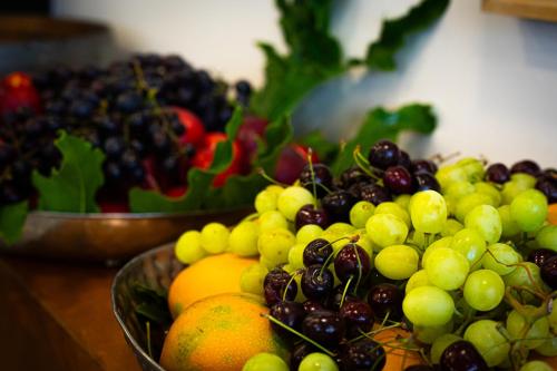 daria authentic israel experience