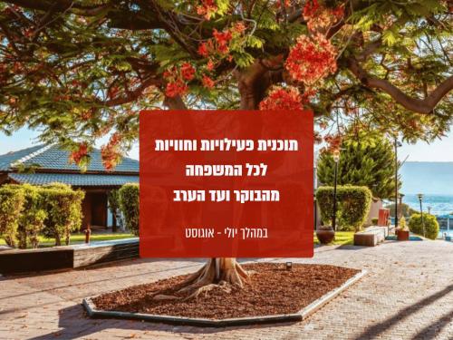 daria authentic israel experience