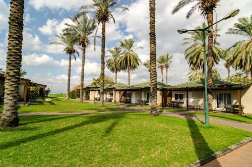 daria authentic israel experience