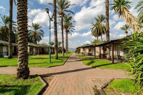 daria authentic israel experience