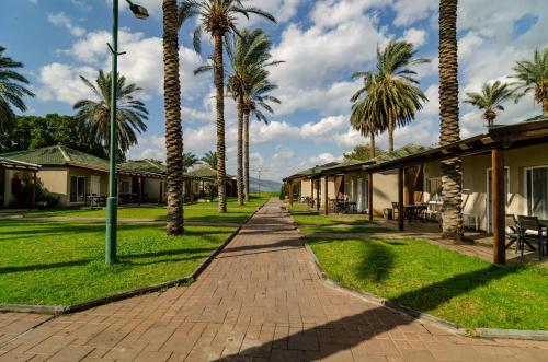 daria authentic israel experience