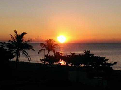 tarokobay bed and breakfast