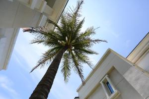 tarokobay bed and breakfast