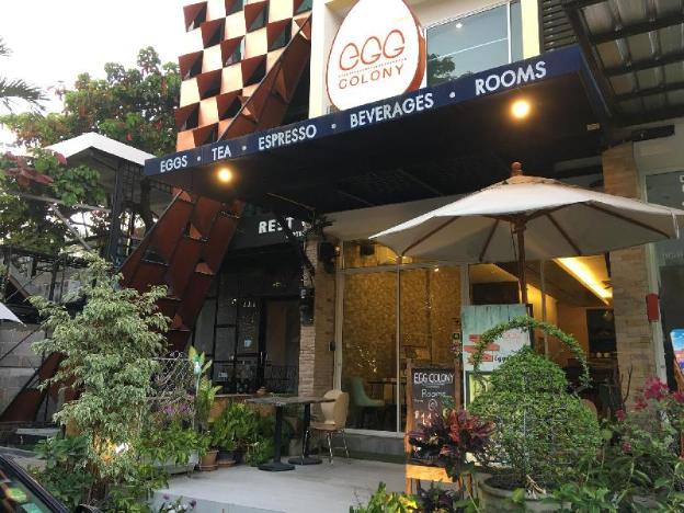 egg colony vacation home