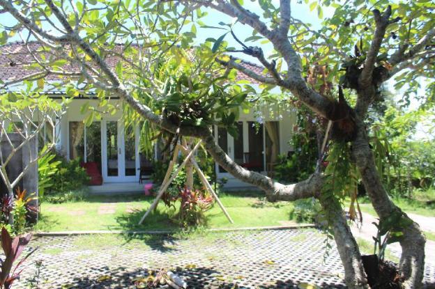 summer homestay