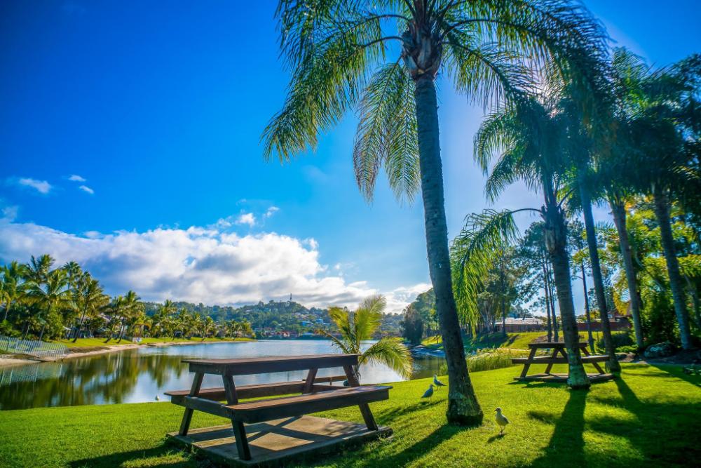 elanora