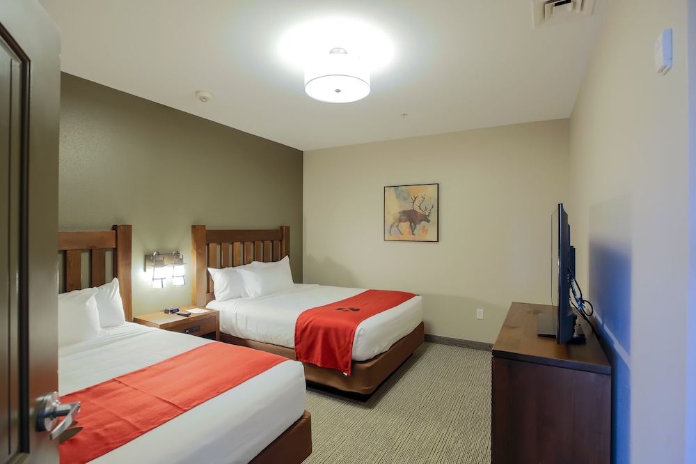 great wolf lodge illinois