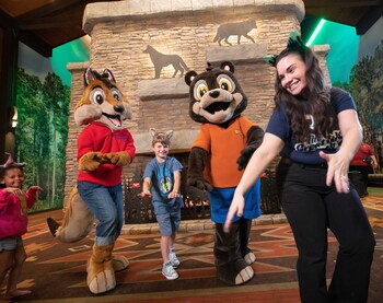 great wolf lodge illinois