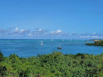 boutique vllla on the rocks