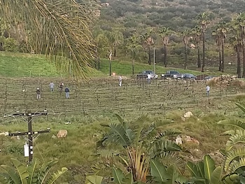 sunshine mountain bed and breakfast