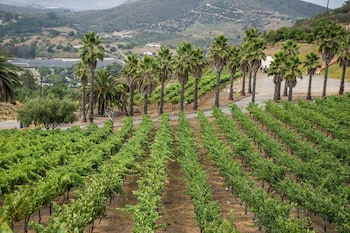 sunshine mountain bed and breakfast