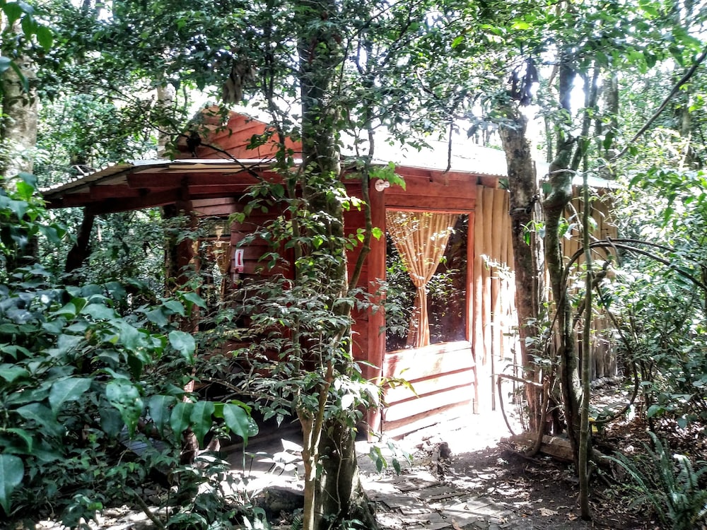 cabanas la montana mountain lodge