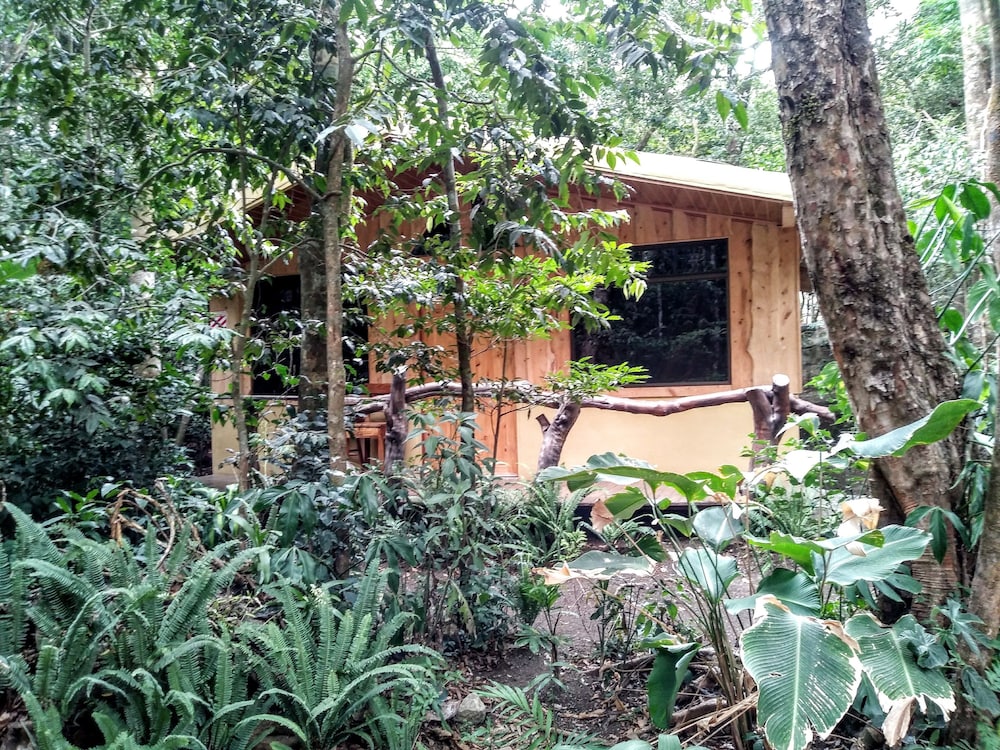 cabanas la montana mountain lodge