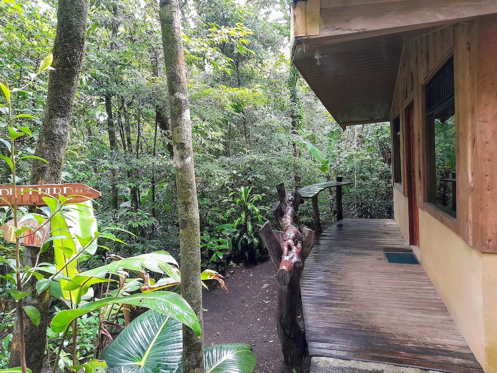 monteverde