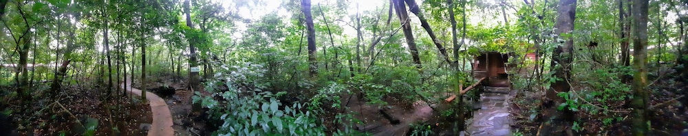 monteverde