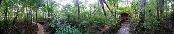monteverde