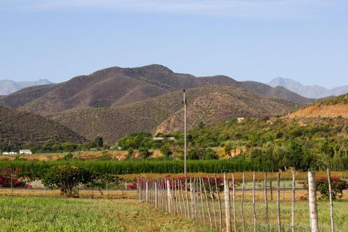 oudtshoorn