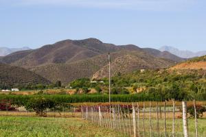 oudtshoorn