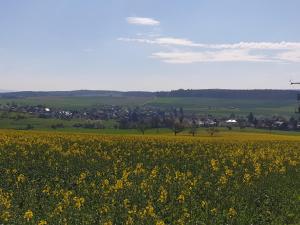 pension zum adler