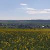 Pension Zum Adler,,2 star