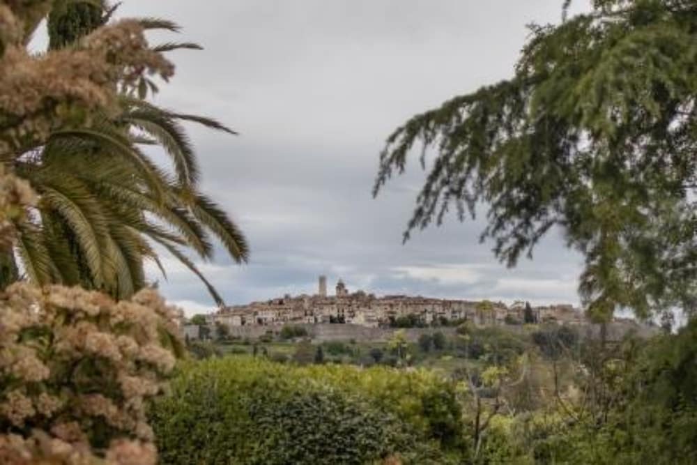 la colle sur loup