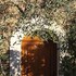 la colle sur loup