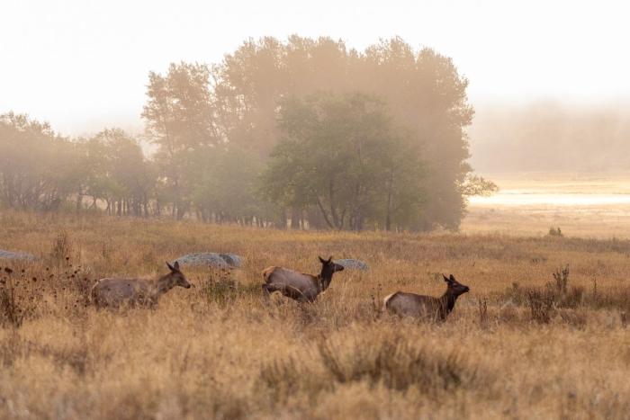 mount cairns 16a 2 bedroom condo by redawning