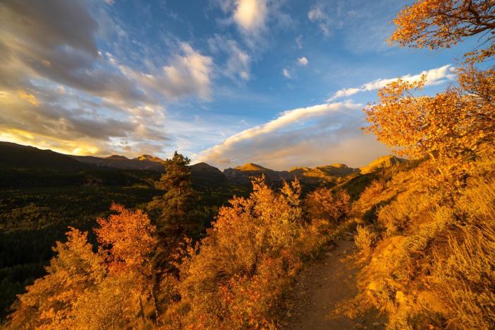 mount cairns 16a 2 bedroom condo by redawning