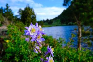 mount cairns 16a 2 bedroom condo by redawning