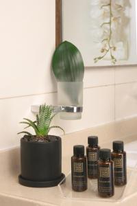 the parisian hotel lebanon