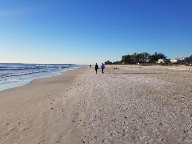 haleys at the anna maria island inn