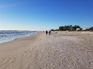 haleys at the anna maria island inn