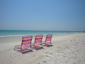 haleys at the anna maria island inn
