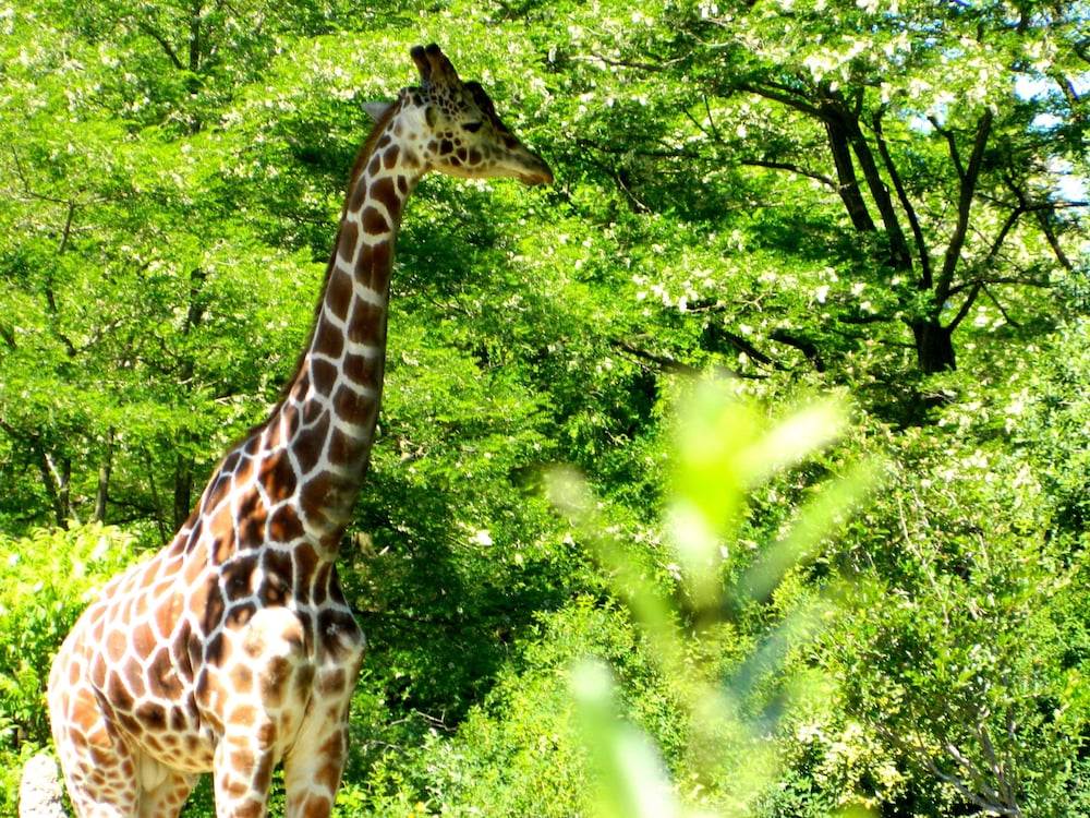 urban oasis near downtown