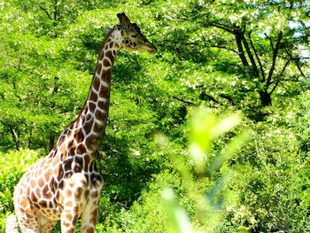 urban oasis near downtown