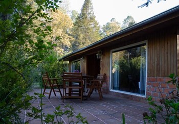 rancho viejo