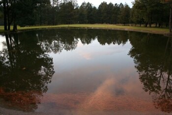 rancho viejo