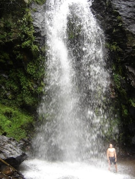 rancho viejo