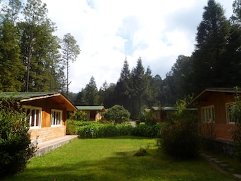 rancho viejo