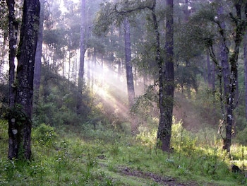 temascaltepec de gonzalez