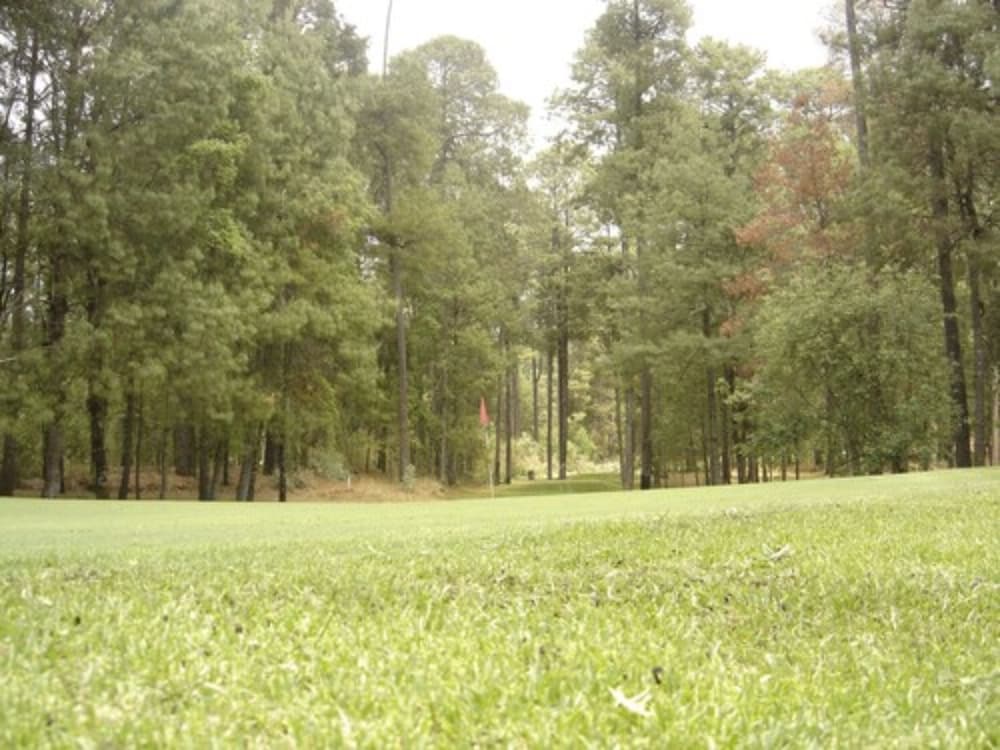 rancho viejo