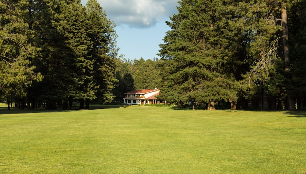 rancho viejo