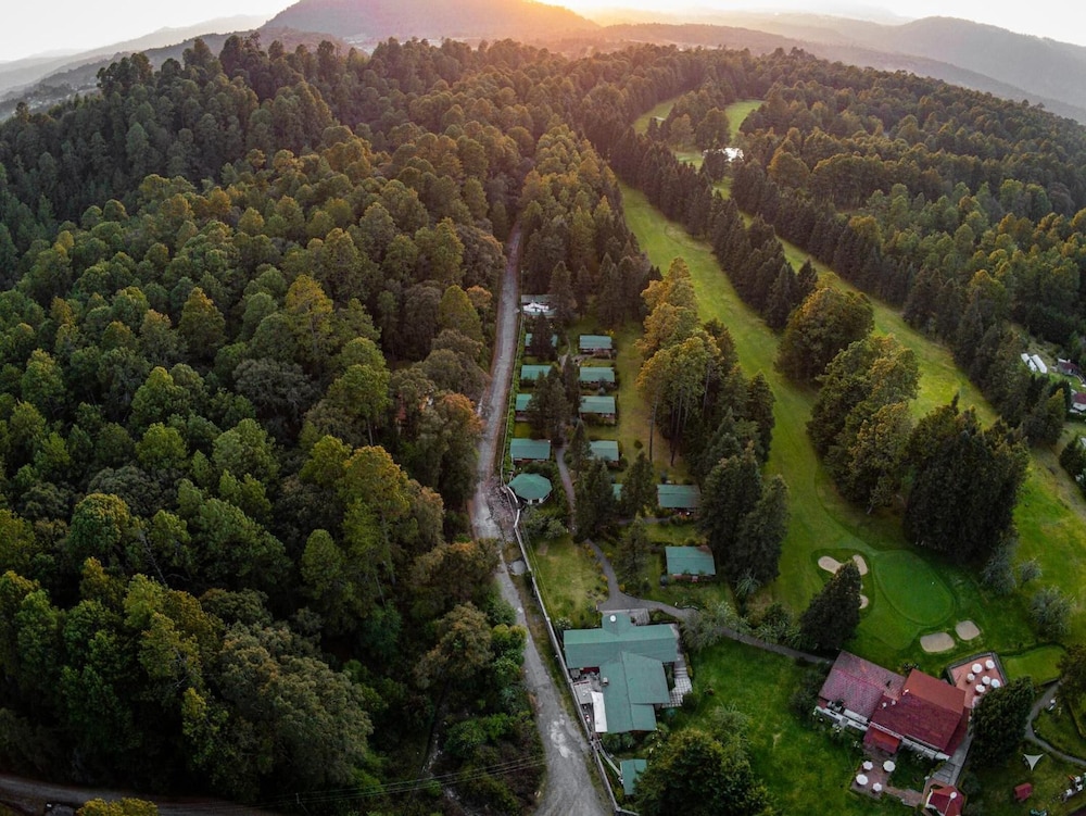rancho viejo